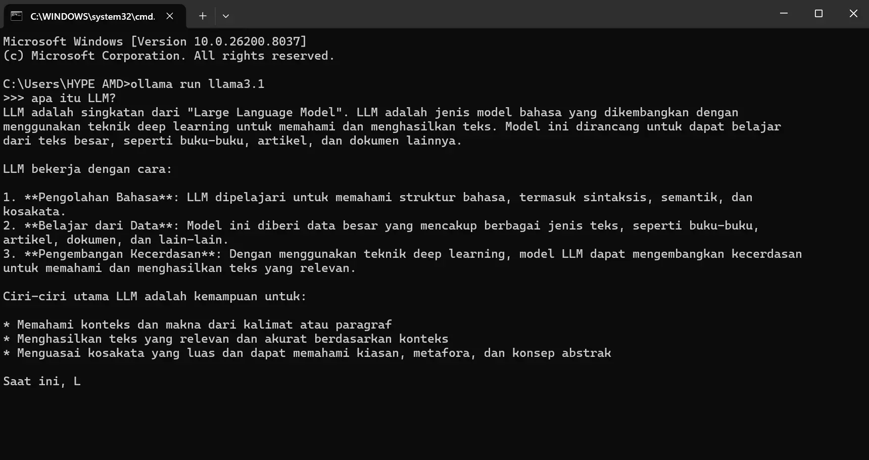 Testing model Ollama